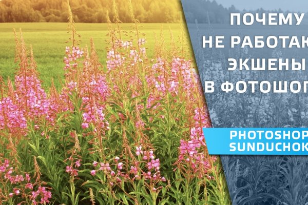 Знают ли власти про маркетплейс кракен
