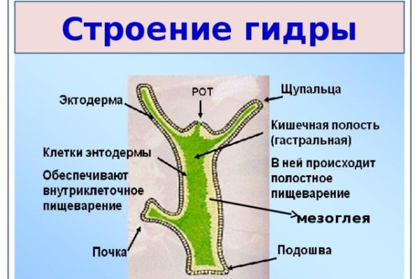 Кракен черный сайт