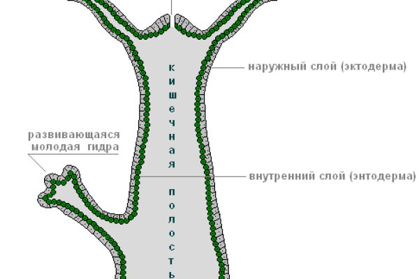 Кракен наркомаркетплейс