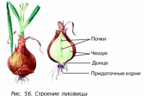 Кракен сайт наркотиков