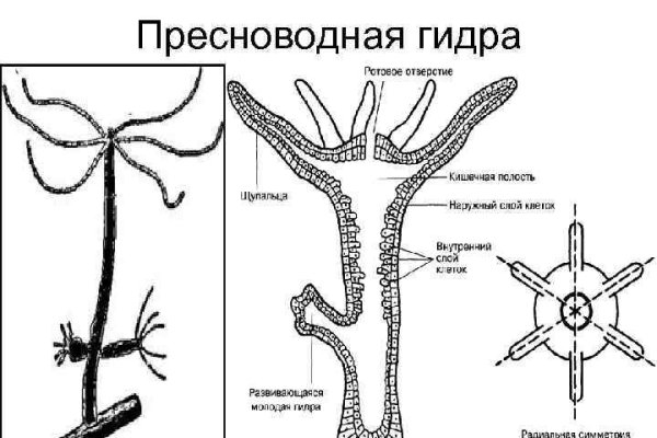 Кракен вход ссылка